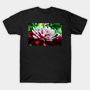 Dahlia Flower T-Shirt